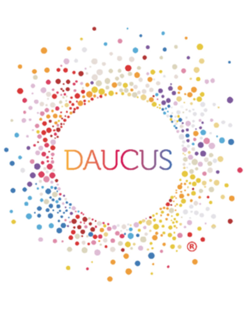 daucus-lighting